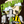Load image into Gallery viewer, Zombie'D Tee - Dark Chocolate